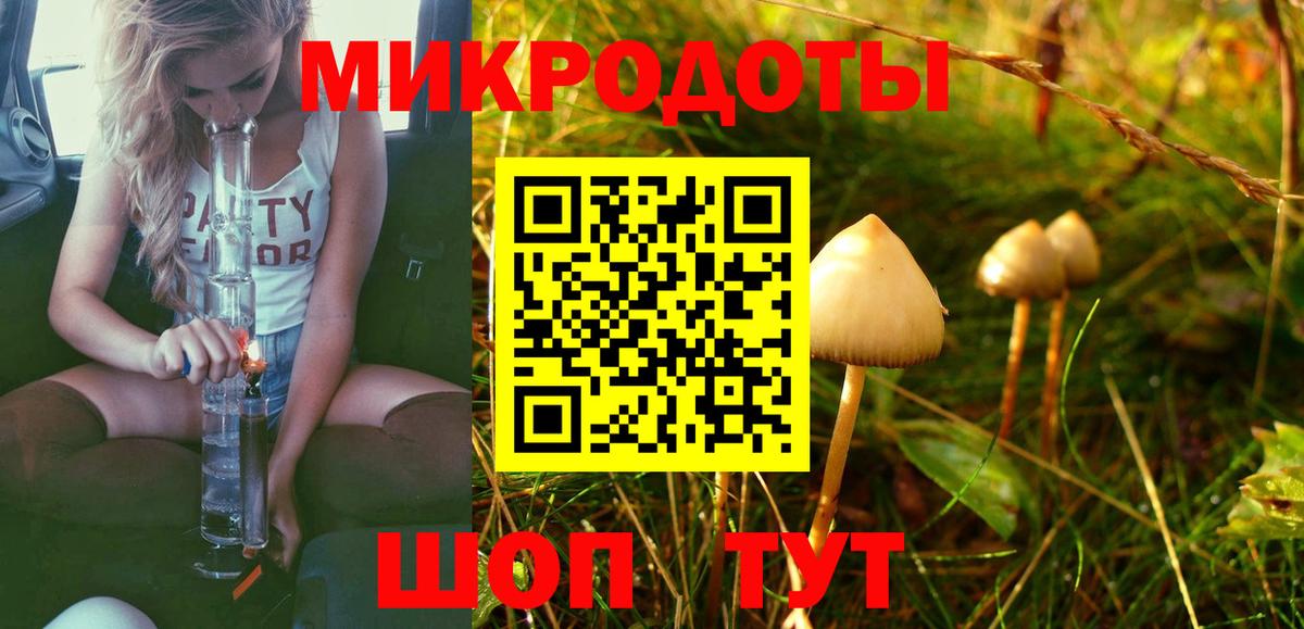 продажа наркотиков  Псилоцибиновые грибы GOLDEN TEACHER  Ипатово  Вход с VPN  Псилоцибиновые грибы мицелий 